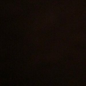 Meet your Posher, Elly